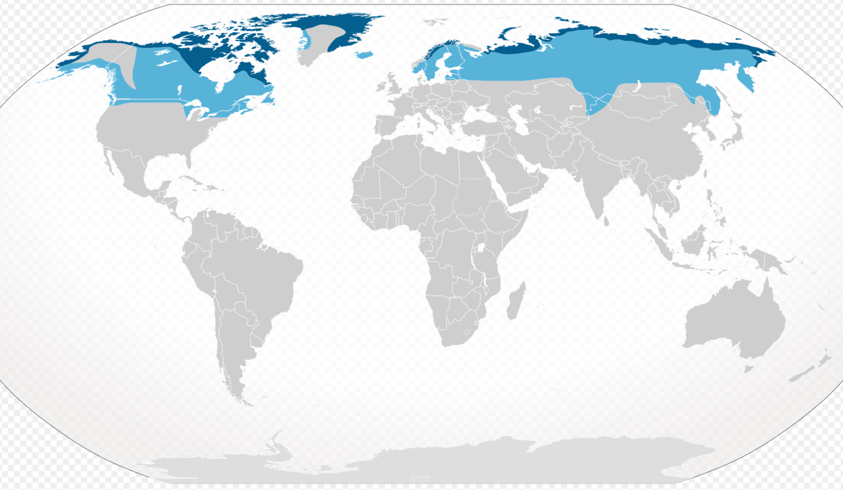 Snowy Owl habitat map
